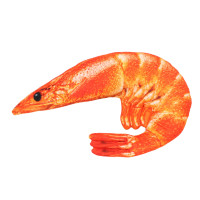 Мягкая игрушка Морская креветка, 47 см